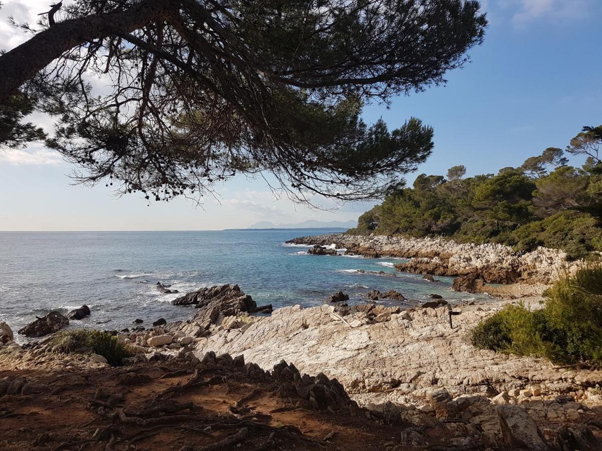 Penthouse Antibes Apartment Екстериор снимка